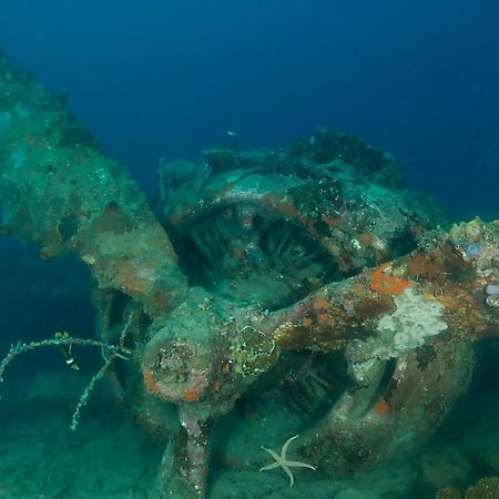 Araya Dive Resort Togean Bomba Eksteriør billede