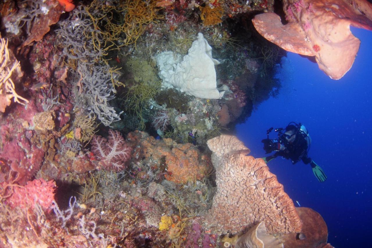 Araya Dive Resort Togean Bomba Eksteriør billede