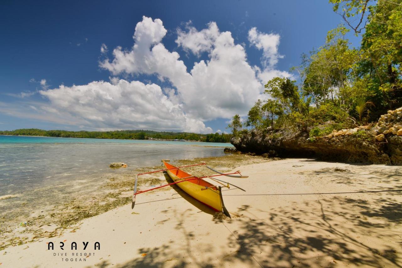 Araya Dive Resort Togean Bomba Eksteriør billede