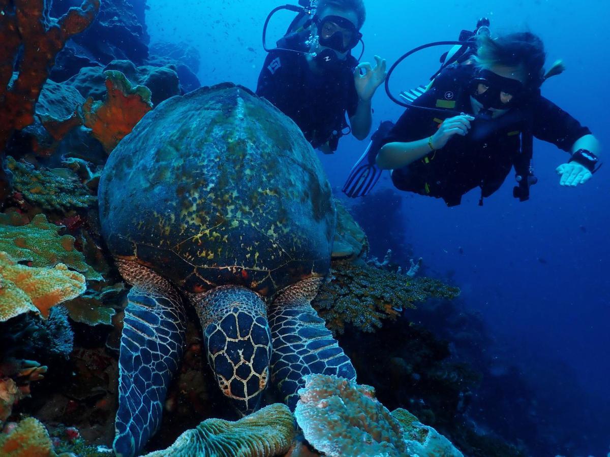 Araya Dive Resort Togean Bomba Eksteriør billede