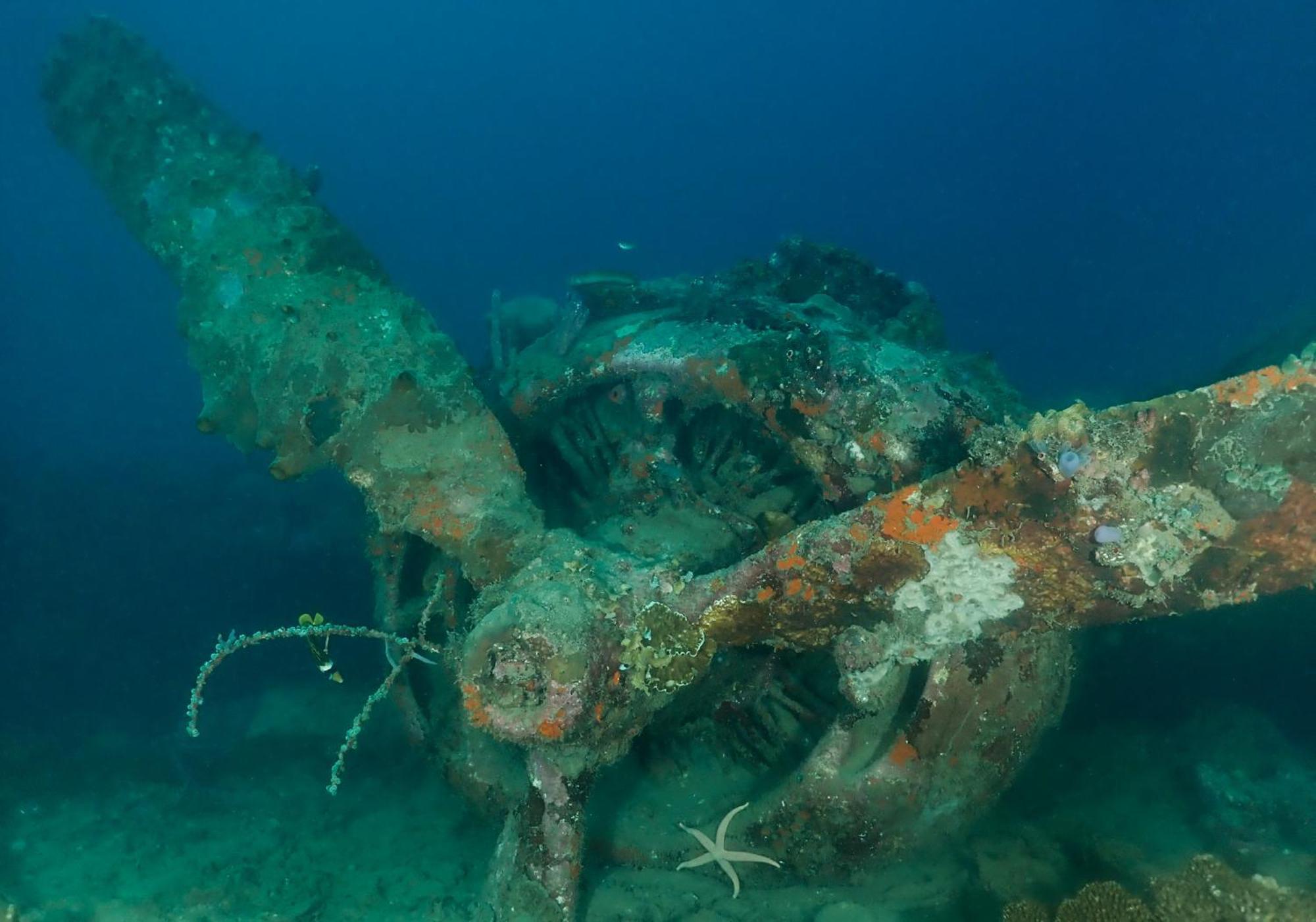Araya Dive Resort Togean Bomba Eksteriør billede